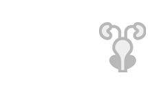Prostată