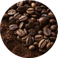 Arabica Coffee