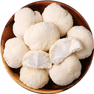Lion's Mane